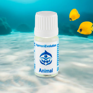 Huile Animal
